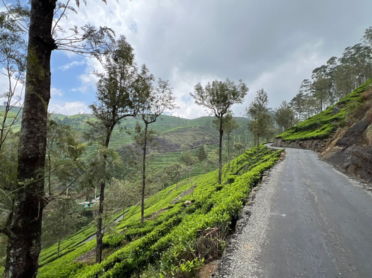 Private Tour Guide in Sri Lanka-科伦坡必去景点