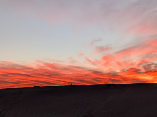 Desert Maroc Tours - Day Tours-扎古拉必去景点