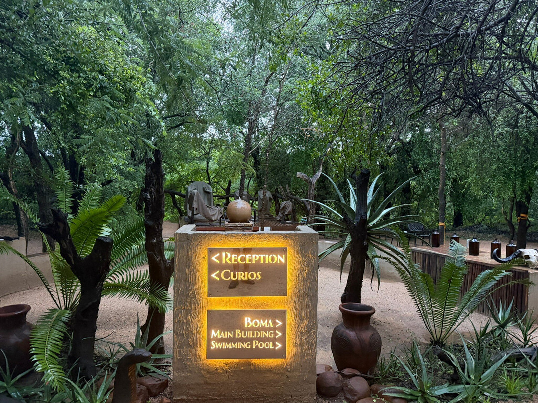 Umkumbe Bush Lodge - Luxury Tented Camp主图