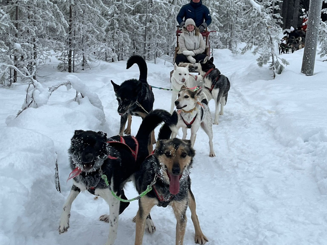 Luleå  Adventure Hundspann-Luleå必去景点