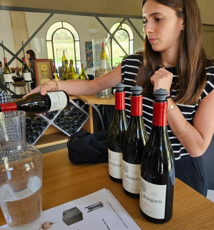 Epicurean Provence Tour (Provence, Luberon, Alpilles)-圣雷米必去景点