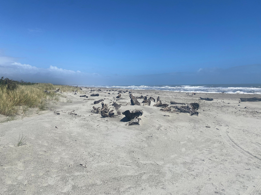 Haast Beach-Haast必去景点