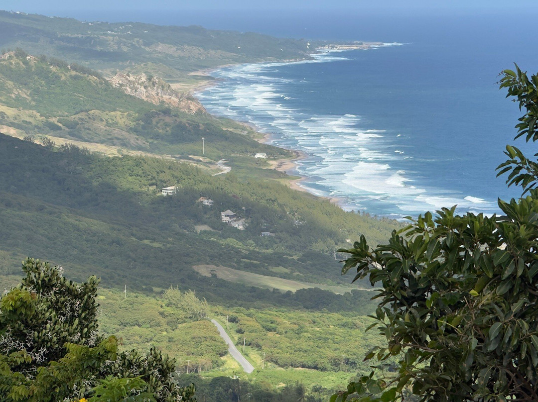 Island Safari Barbados-Saint Michael Parish必去景点