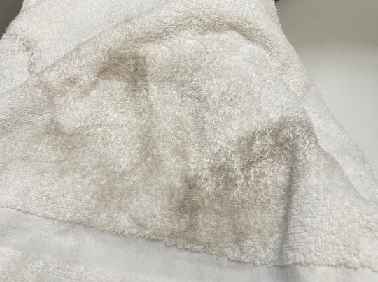 Shell Island Resort主图