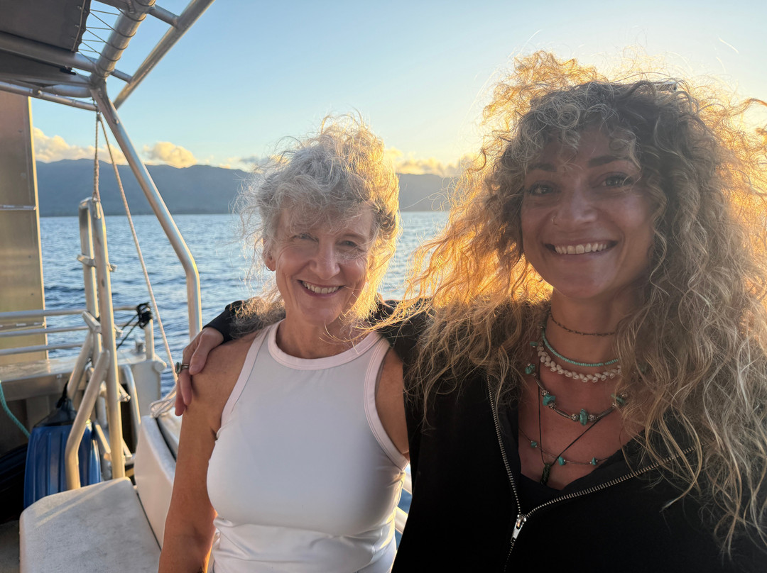 Haleiwa Shark Tours-哈雷瓦必去景点