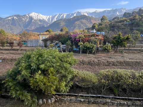 Rendezvous Dharamshala主图