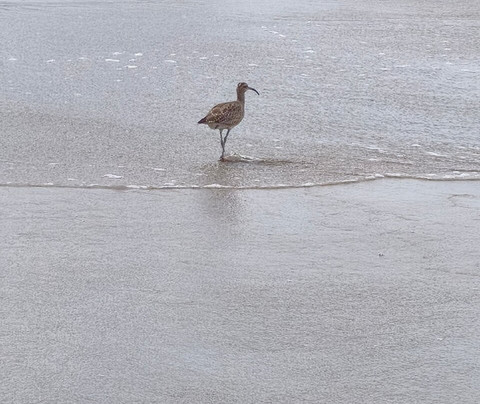 Malecon Salinas-萨利纳斯必去景点