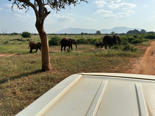 Bienvenido Kenya Tours and Safaris