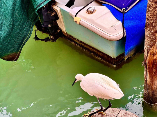 穆拉诺岛-Murano必去景点