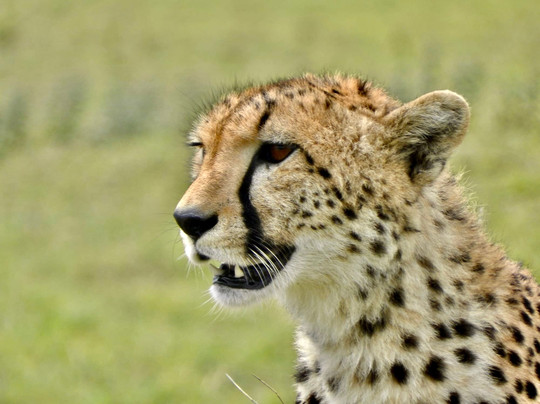 Zara Tanzania Adventures-莫西必去景点