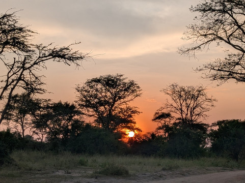 Devine African Safaris-吉佳利必去景点