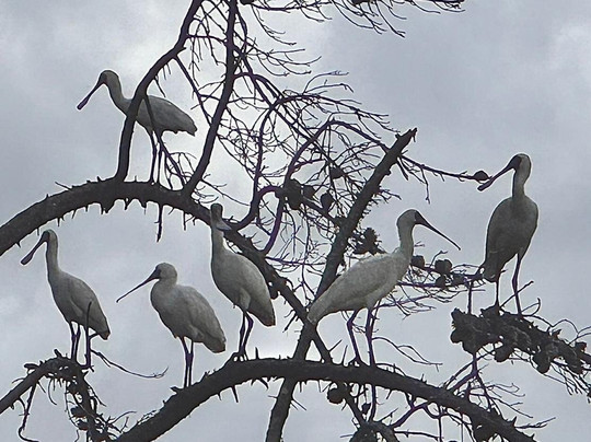 Northland Outdoor Adventures-Whangaroa必去景点