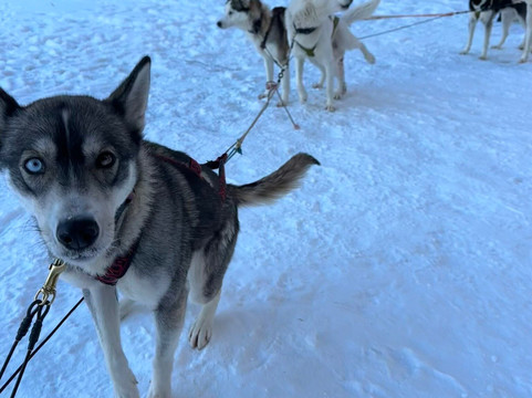 Arctic Expedition-埃斯波必去景点