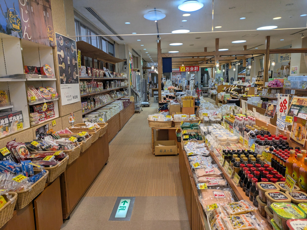 Kisakata Michi-no-Eki Nemu no Oka-仁贺保市必去景点