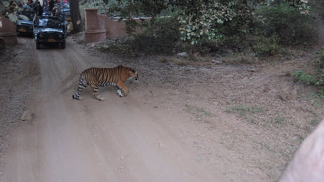 兰泰姆霍尔宫酒店主图