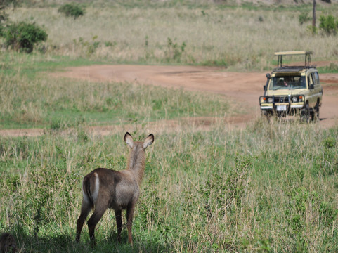 Angelino Adventures-莫西必去景点
