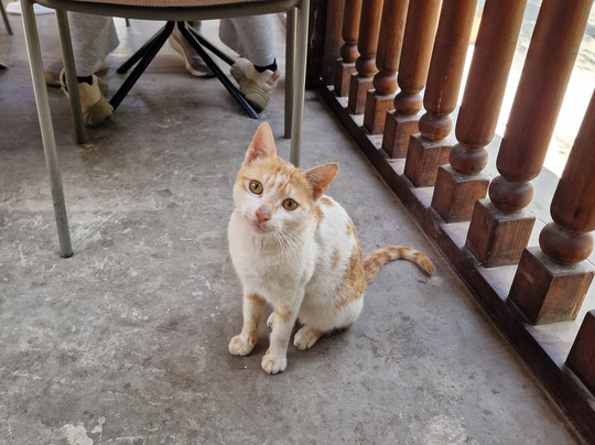 Hatta Water Dam-赫达必去景点