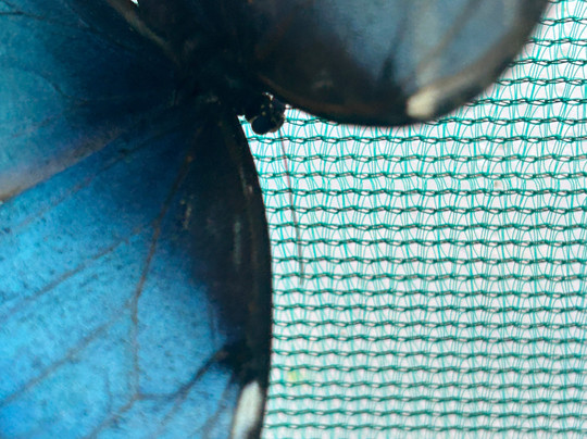 The Bug Parc-Lenwade必去景点