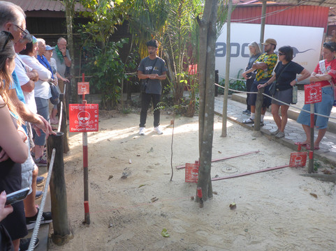 APOPO Visitor Center-暹粒必去景点