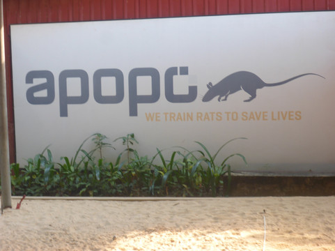 APOPO Visitor Center-暹粒必去景点