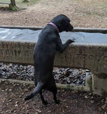 Leith Hill-多肯必去景点