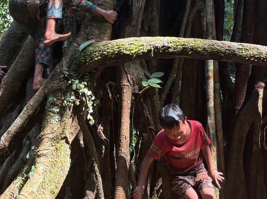 Into the Wild Laos-琅南塔必去景点