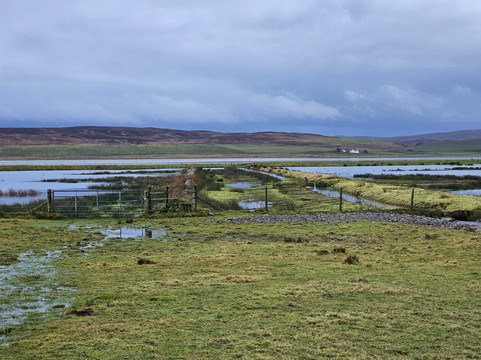 RSPB Loch Gruinart Reserve-Bridgend必去景点