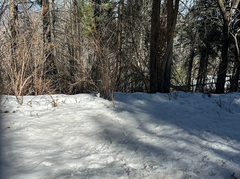 Mount Lemmon Ski Valley-Mount Lemmon必去景点
