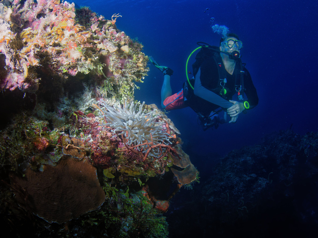 Blue H2o Cozumel Ocean Tours-考祖梅必去景点