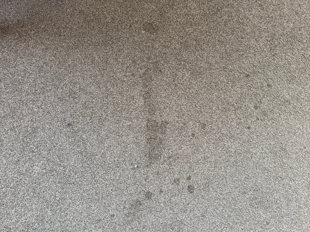 Gästehaus Alte Schule主图