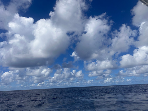 Blue Haven Charters-Rum Point必去景点