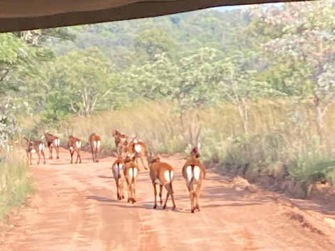 Loisico Tours and Excursions-Bloubergstrand必去景点