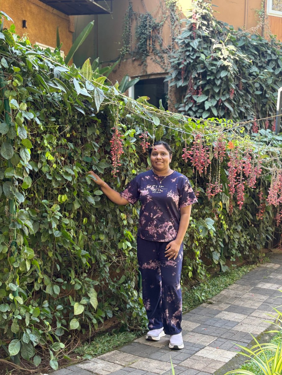 Mystery Maze Resort and Spa-官方