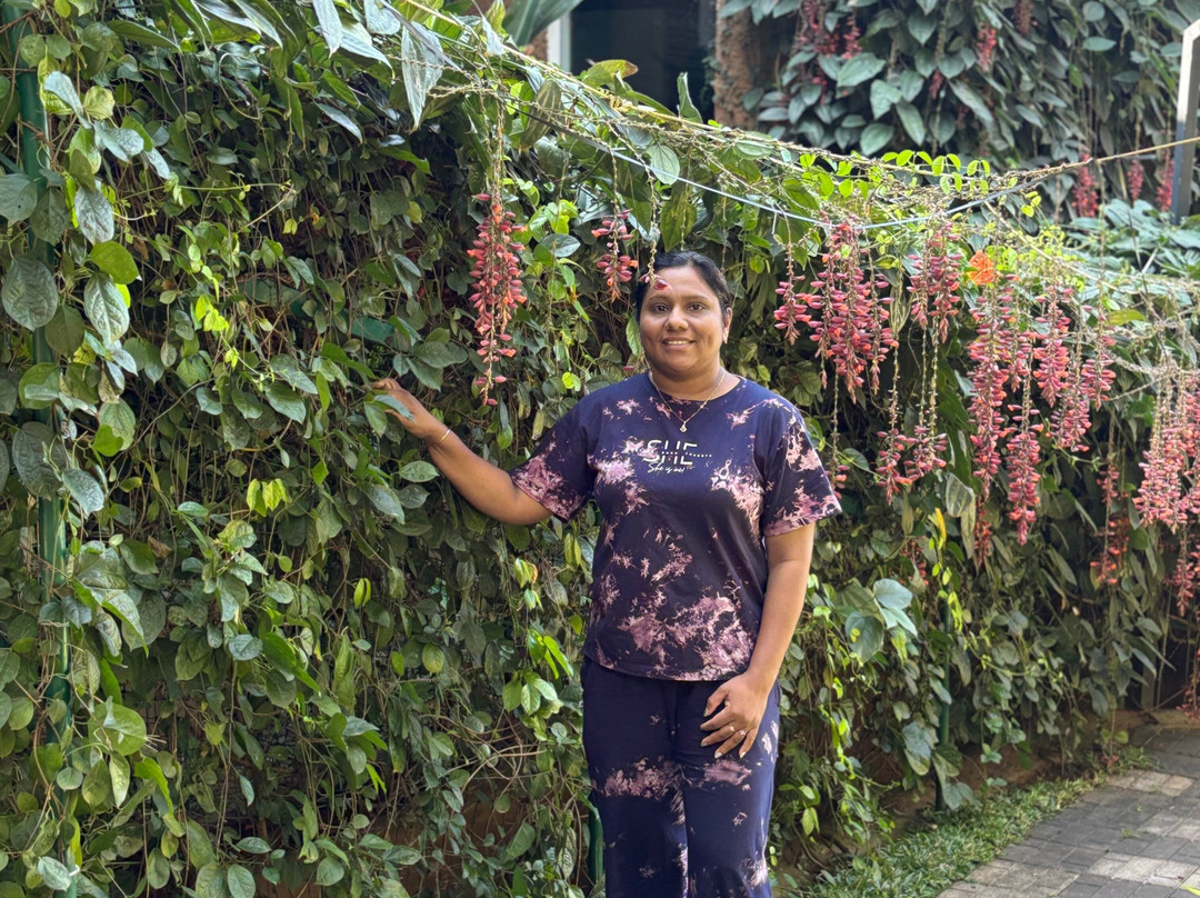 Mystery Maze Resort and Spa主图