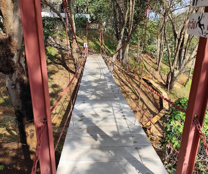 Alcidini Winery-北冲县必去景点