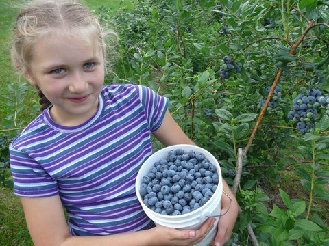 Hickory Hill Farm-Keezletown必去景点