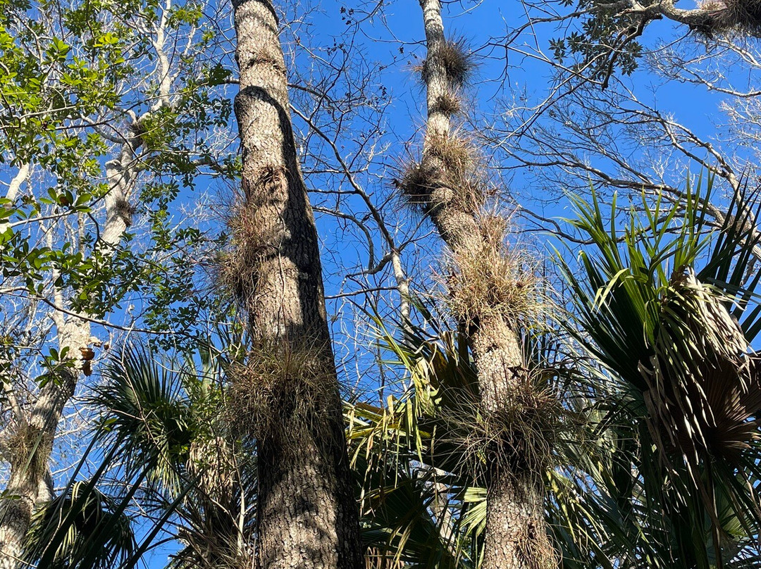 Bluebird Springs Park-Homosassa Springs必去景点