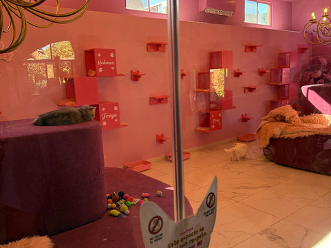 Pai Pai Ecotourism Park-恩塞纳达必去景点