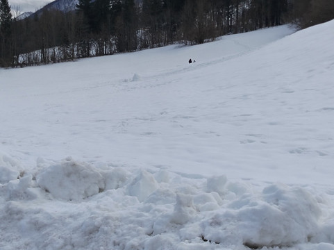 考帕斯酒店主图