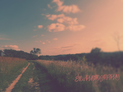 Afton State Park-黑斯廷必去景点