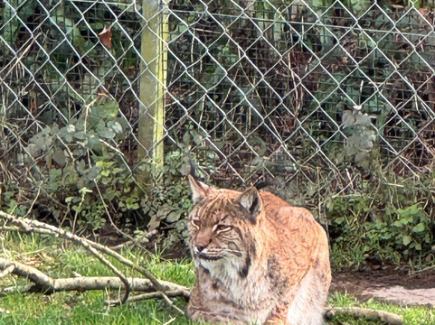 Dartmoor Zoological Society-Sparkwell必去景点