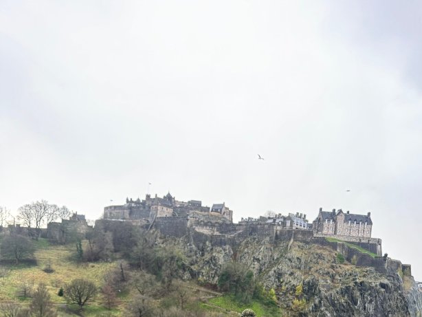 100 个王子街-官方