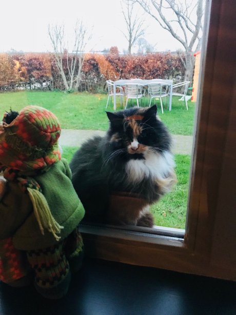 塔尼美食度假屋-官方