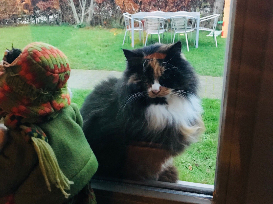 塔尼美食度假屋主图