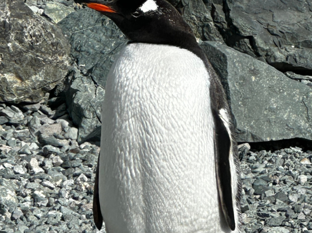 Poseidon Expeditions-迈阿密必去景点
