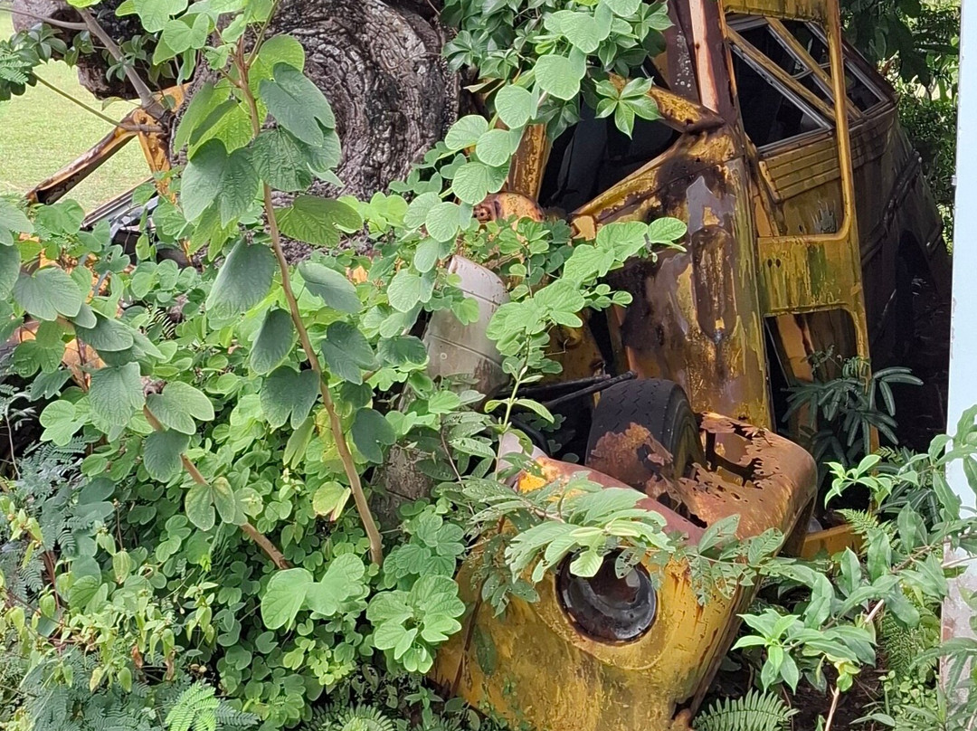 David and Goliath-罗索必去景点