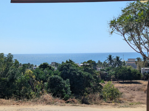 Mercado Zicatela-埃斯孔迪多港必去景点