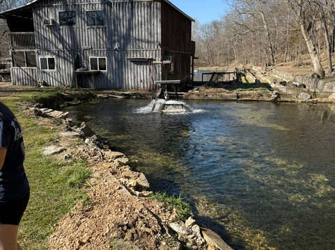 Mountain Springs Trout Park-Highlandville必去景点