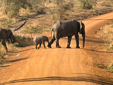 Katella Uganda Safaris-坎帕拉必去景点