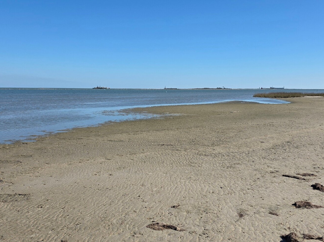 Aransas National Wildlife Refuge-Austwell必去景点